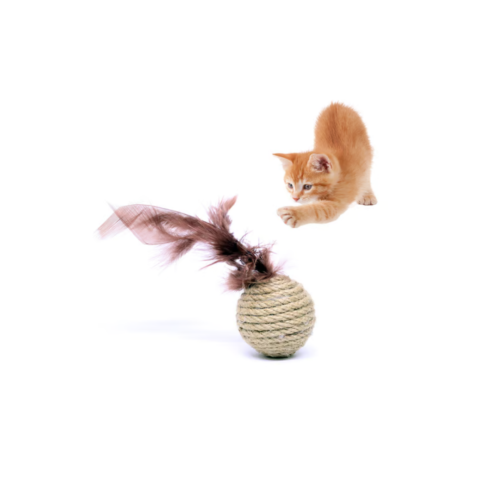 GloryPet Hasır Çıngıraklı Kedi Oyun Topu