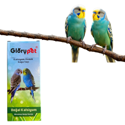 GloryPet Kafes Kuşları İçin Kalamar Kemiği