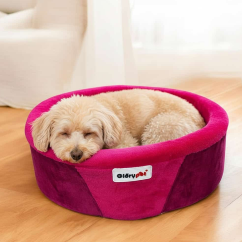 GloryPet Cookie Sünger Simit Kedi Ve Köpek Yatağı