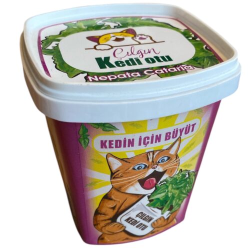 GloryPet Çılgın Kedi Çimi %100 Doğal