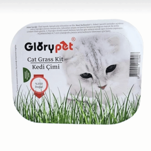 GloryPet Kedi Çimi %100 Doğal
