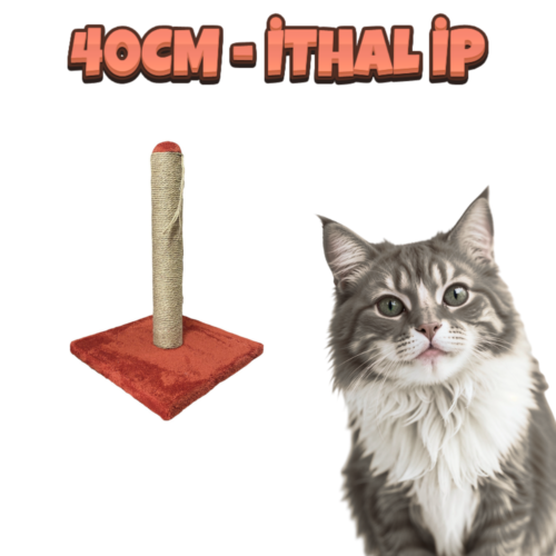 SRC Kedi Tırmalama Tahtası 40CM (İthal İp Kullanışmıştır)