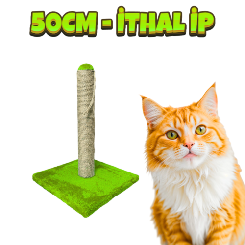 SRC Kedi Tırmalama Tahtası 50CM (İthal İp Kullanışmıştır)